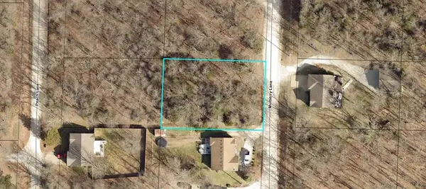 Lot 6 Mulberry Lane, Ridgedale, MO 65739