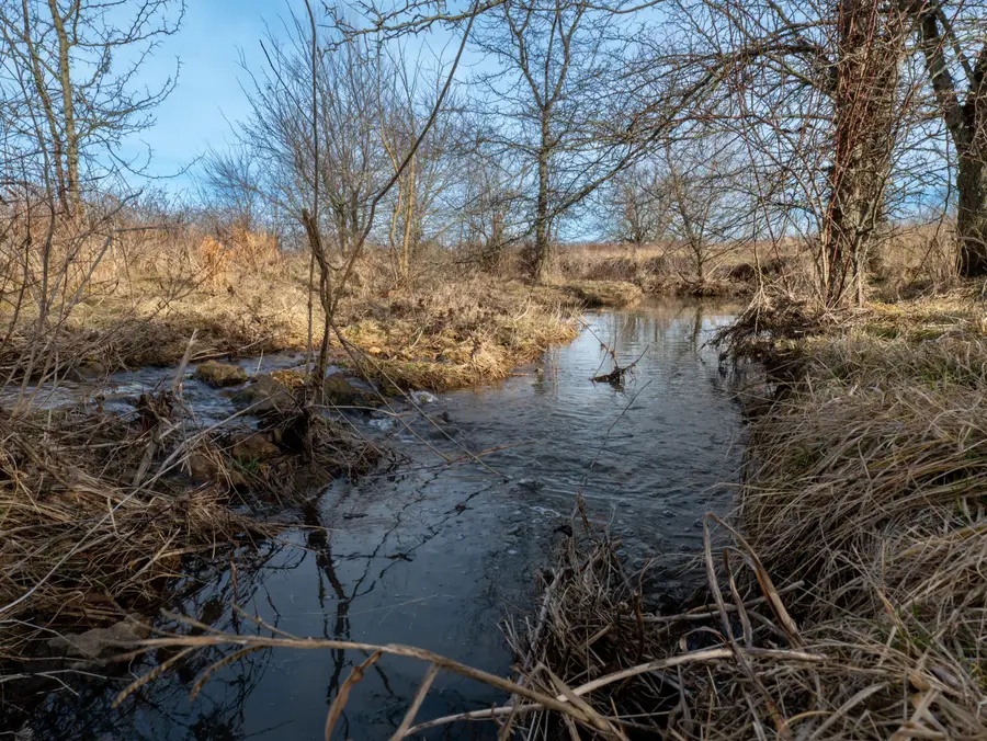 000 County Road 51, Lockwood, MO 65682 - #3