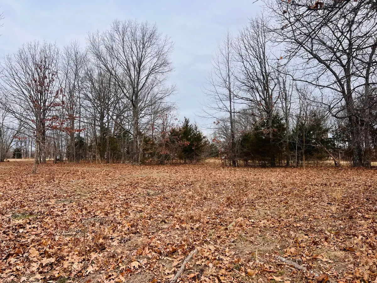 6494 S State Highway Vv, Rogersville, MO 65742 - #1