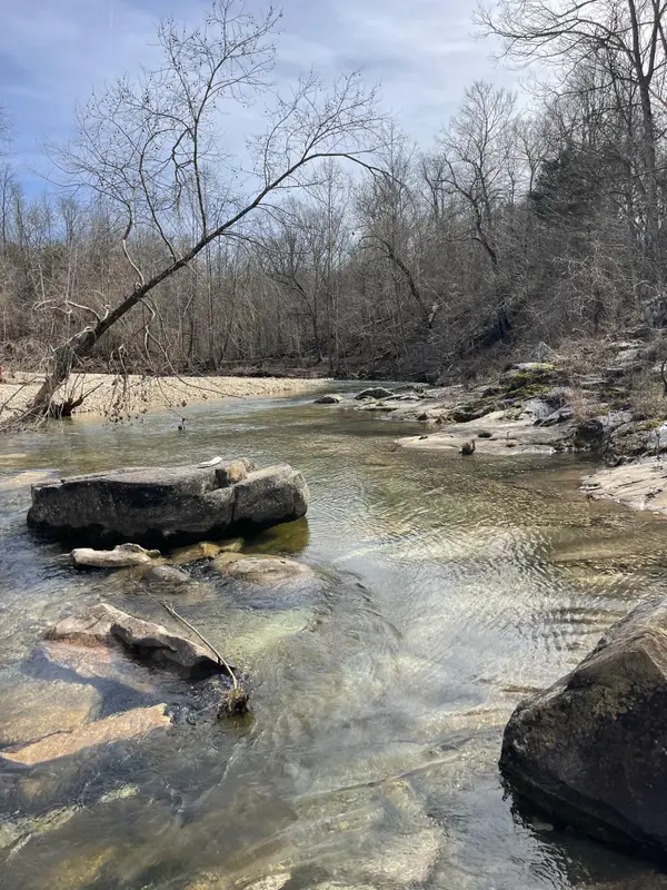 000 County Road 14-534, Ava, MO 65608