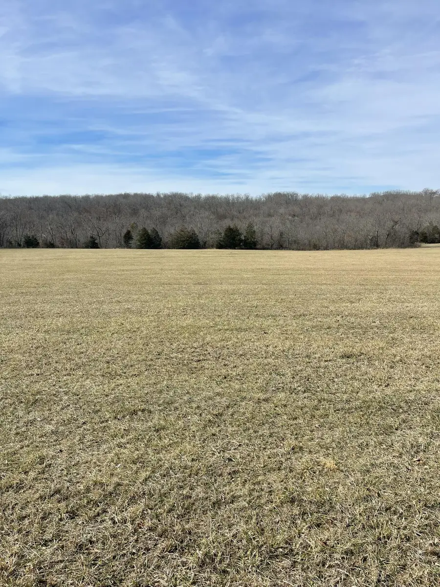 000 County Road 14-534, Ava, MO 65608 - #3