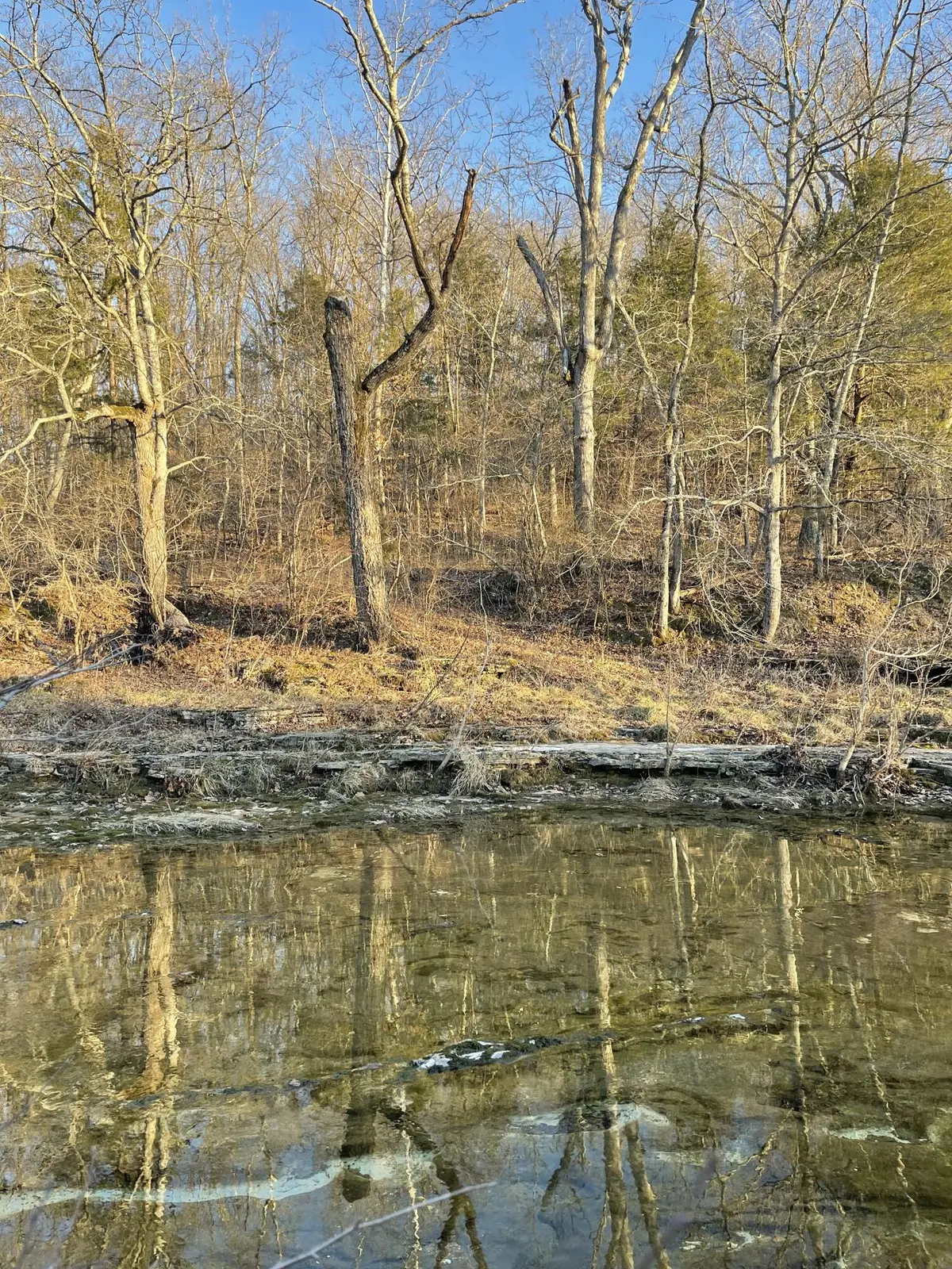 00 County Road 14-534, Ava, MO 65608 - #1