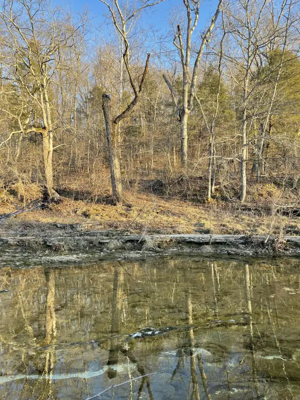 00 County Road 14-534, Ava, MO 65608