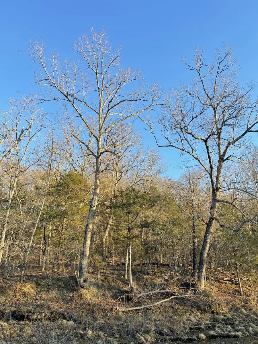 00 County Road 14-534, Ava, MO 65608 - #2