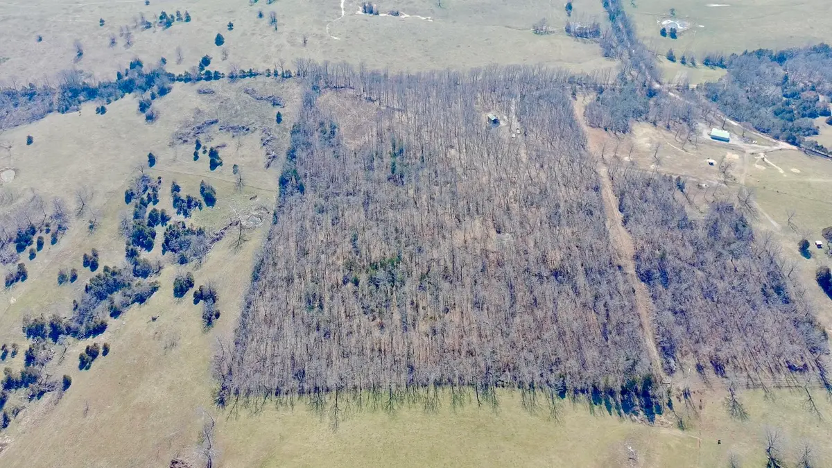 1790 County Rd A-435, Ava, MO 65608 - #1