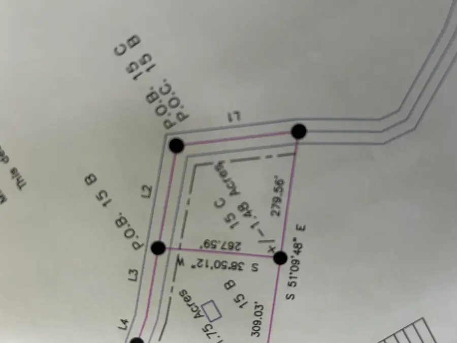 000 Pine Tree Drive #000, Pineville, MO 64856 - #3
