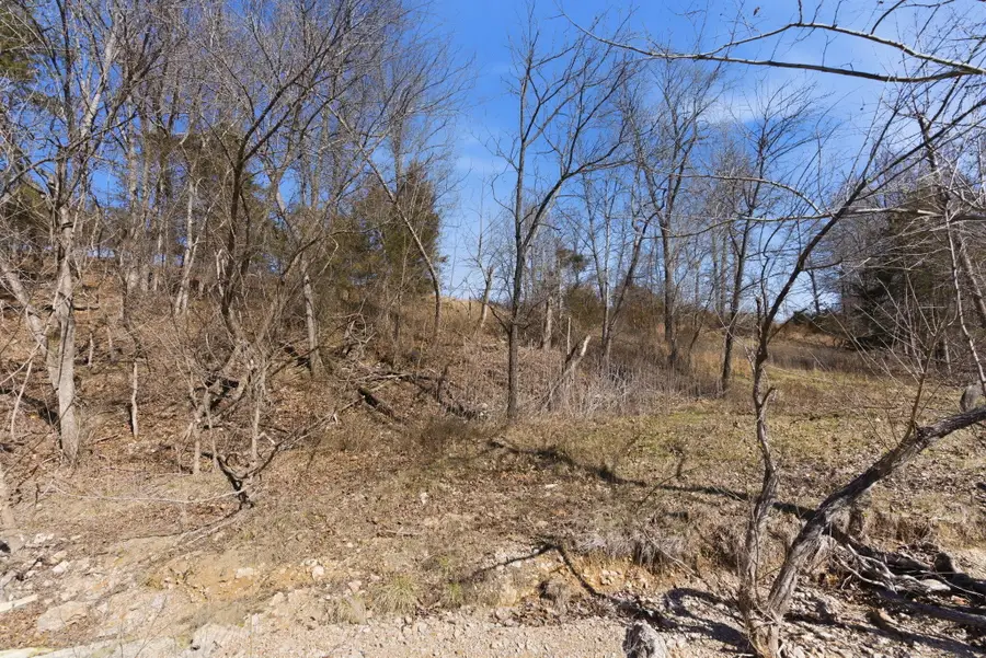 000 State Hwy Jj Tract 2, Thornfield, MO 65762 - #3