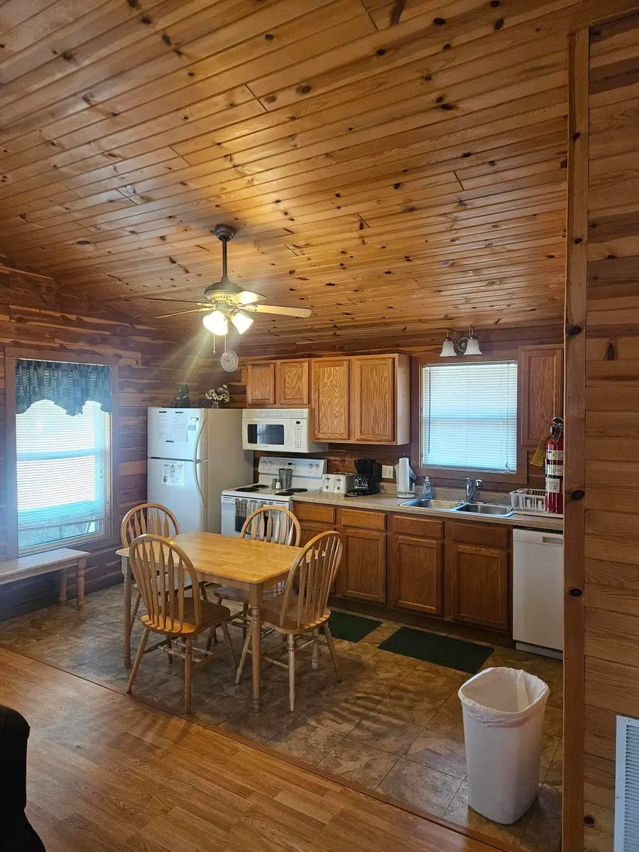 58 Stingray Lane, Pontiac, MO 65729 - #3