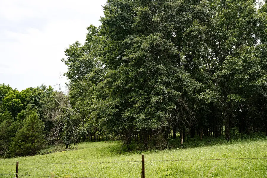 000 County Road 443, Cross Timbers, MO 65634 - #2