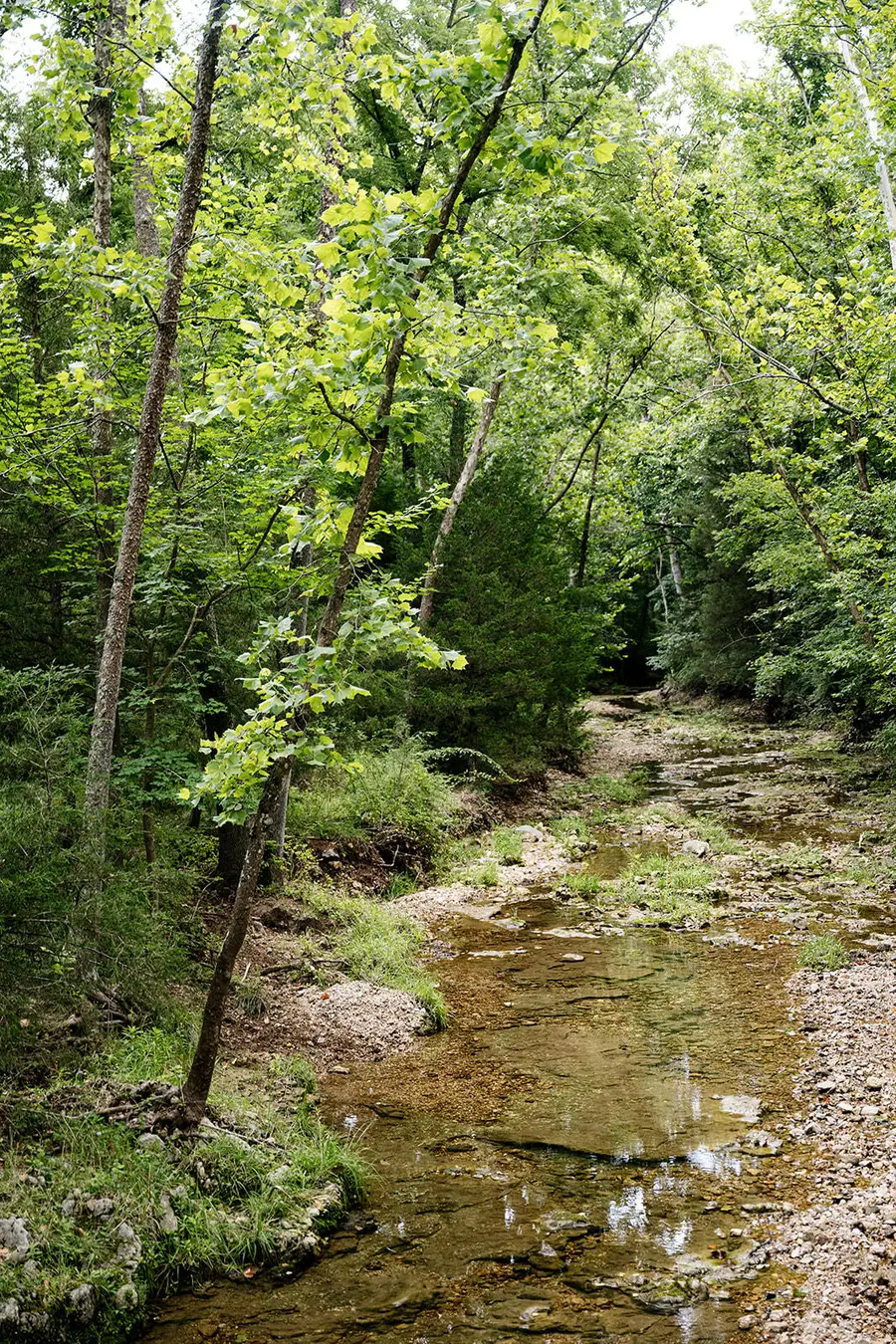 000 County Road 443, Cross Timbers, MO 65634 - #3