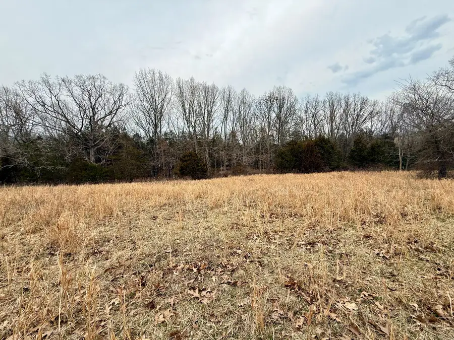 000 State Highway M Tract 6, Cabool, MO 65689 - #3