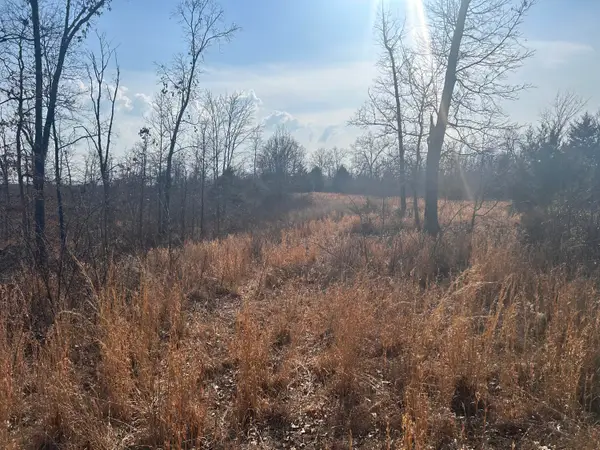 00 Highway 32 E, Salem, MO 65560