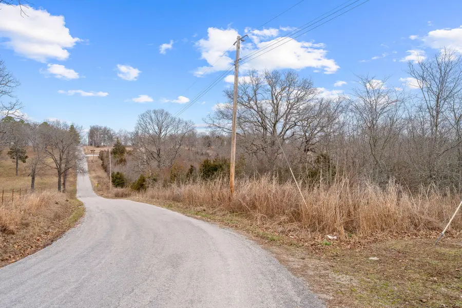 000 Maple Ridge Branch, Forsyth, MO 65653 - #3