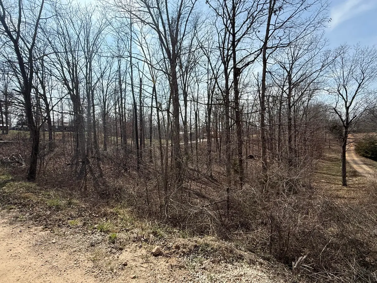 373 Private Road 2016, West Plains, MO 65775 - #1