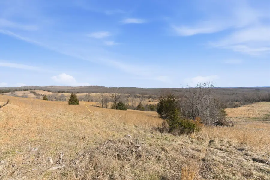 000 State Highway D Tract 1, Thornfield, MO 65762 - #3