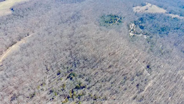 Rt 1 County Rd 14-531, Ava, MO 65608