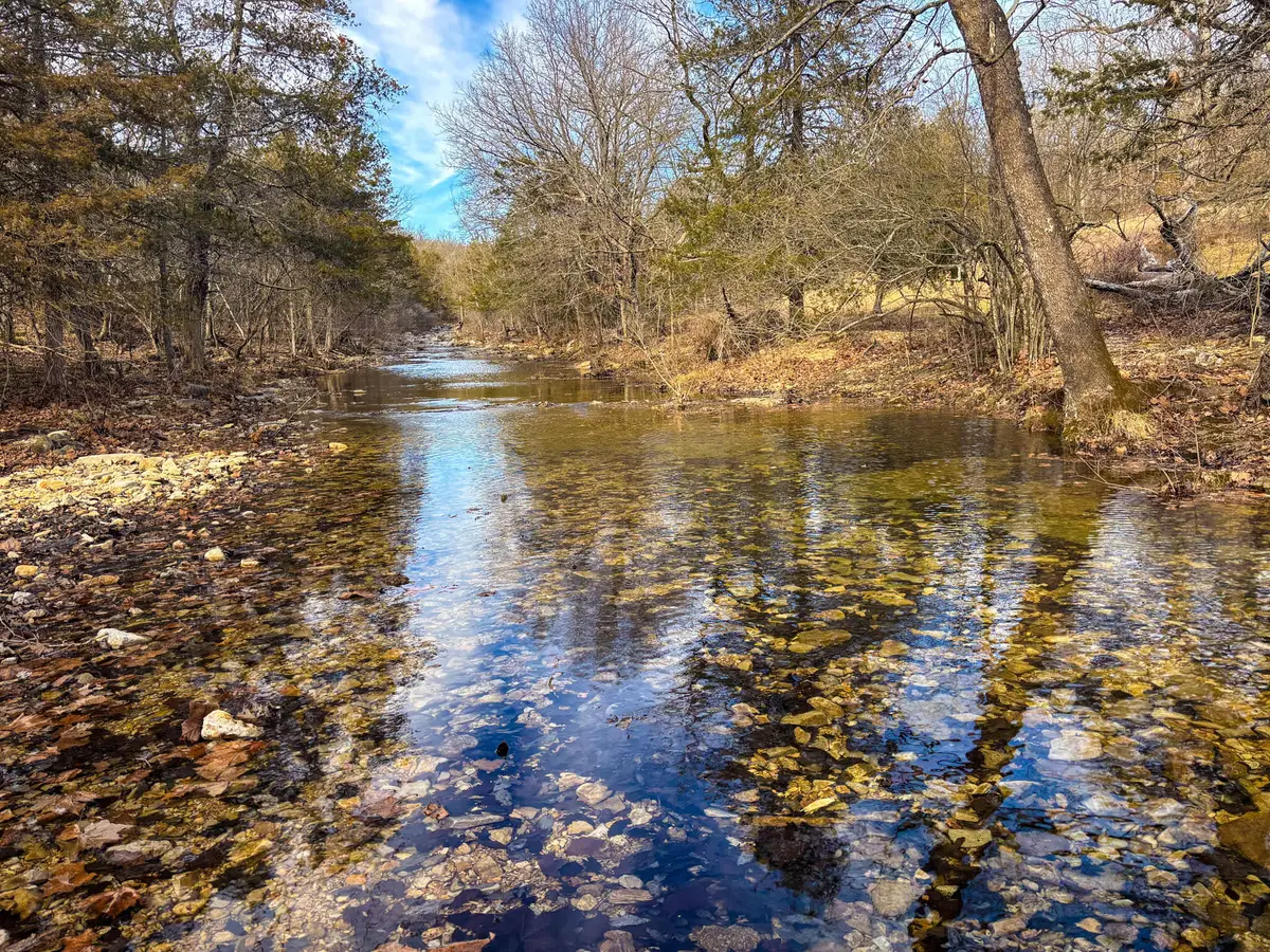 Tbd Palmer Road, Theodosia, MO 65761 - #1