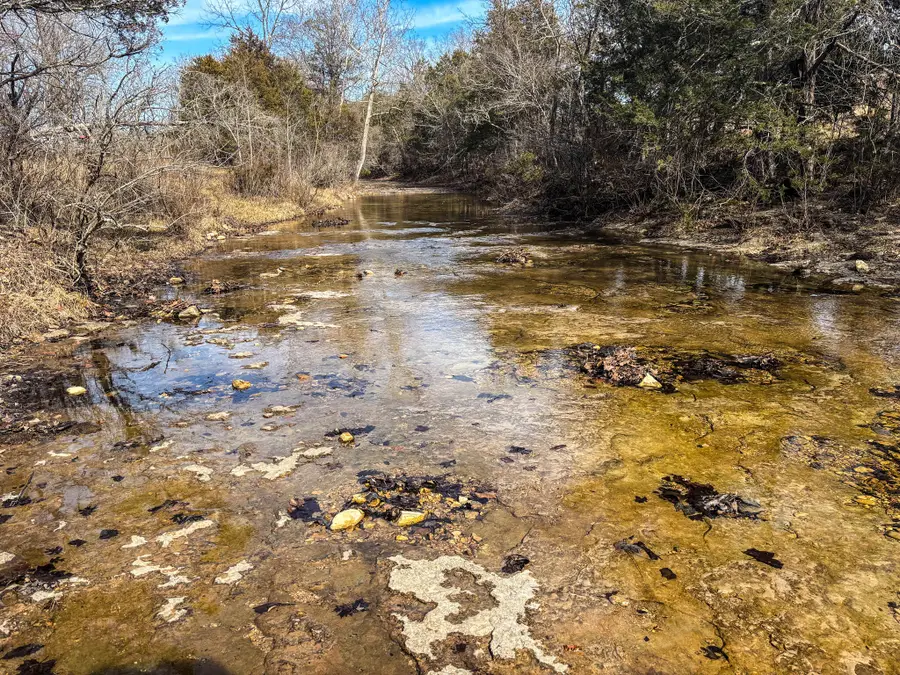 Tbd Palmer Road, Theodosia, MO 65761 - #2