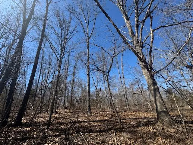 6739 Co Road W #76-430, Ava, MO 65608 - #1