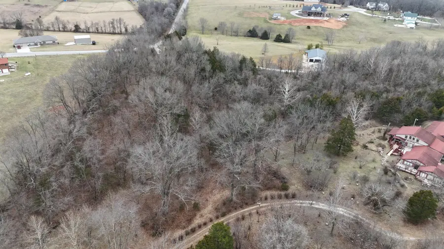 000 Accacia Drive, Highlandville, MO 65669 - #2