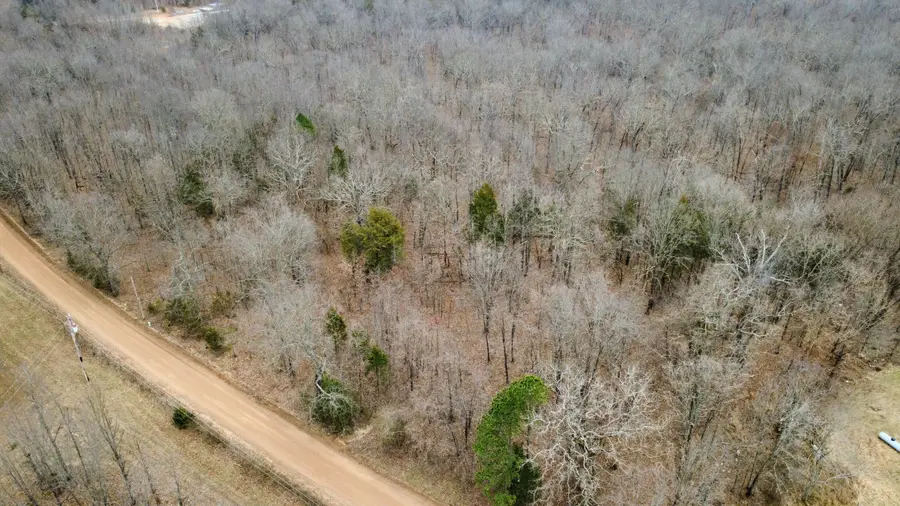 000 County Road 302, Alton, MO 65606 - #2