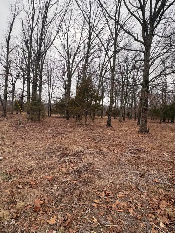 000 Chicory Road #Tract 5, Rogersville, MO 65742