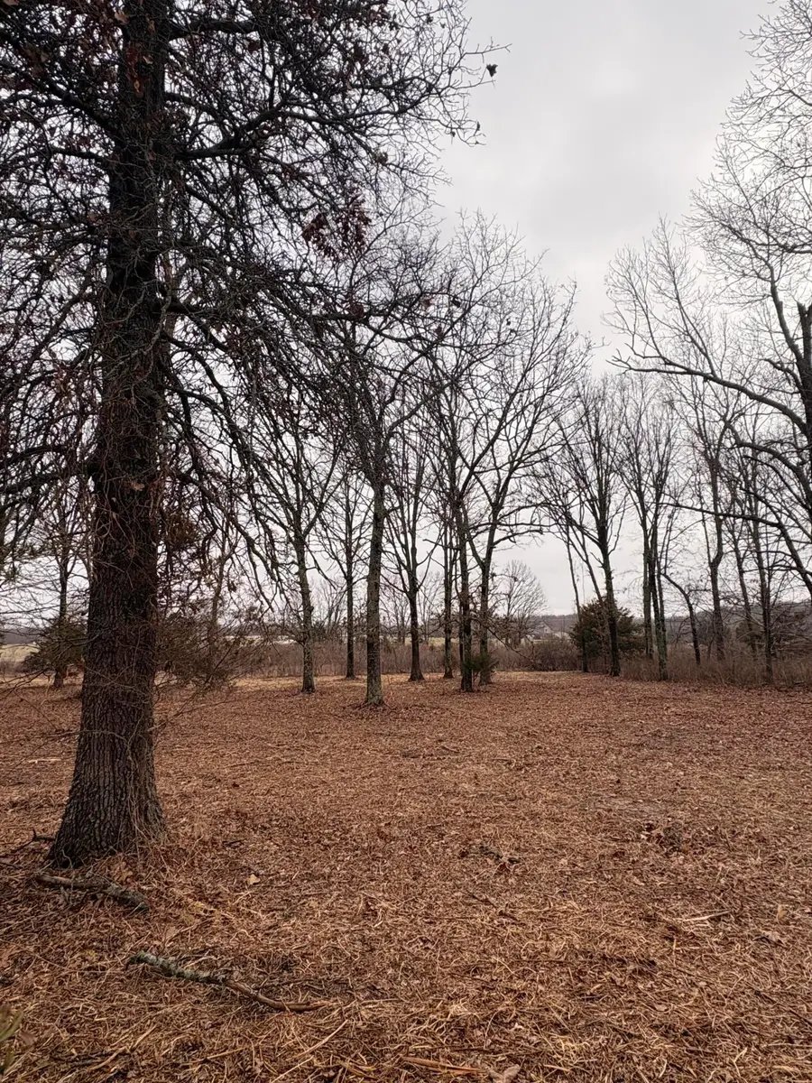 000 Chicory Road #Tract 5, Rogersville, MO 65742 - #3