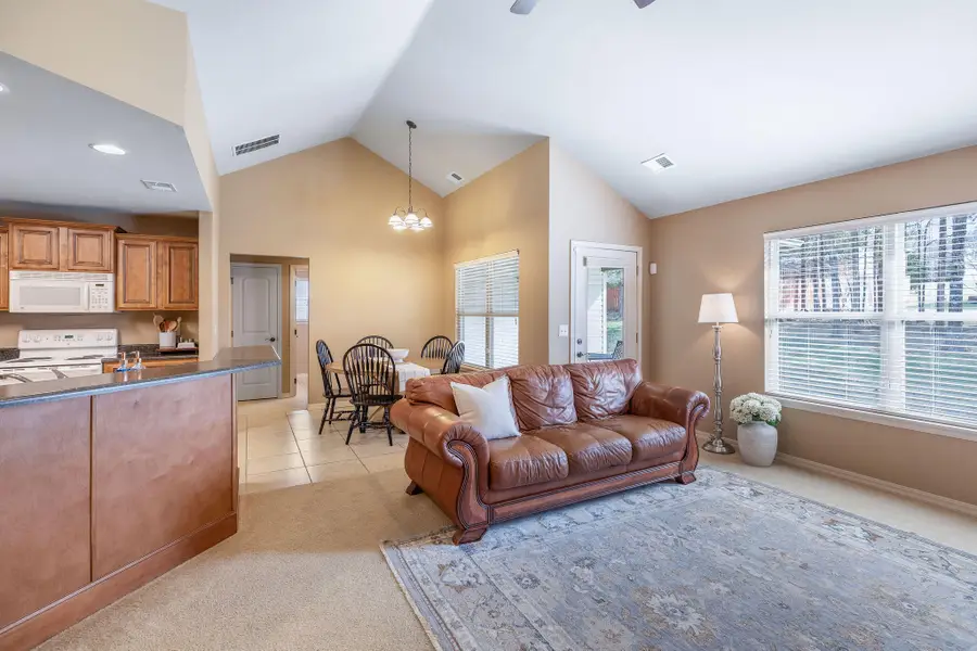 171 Waterloo Way, Branson, MO 65616 - #3