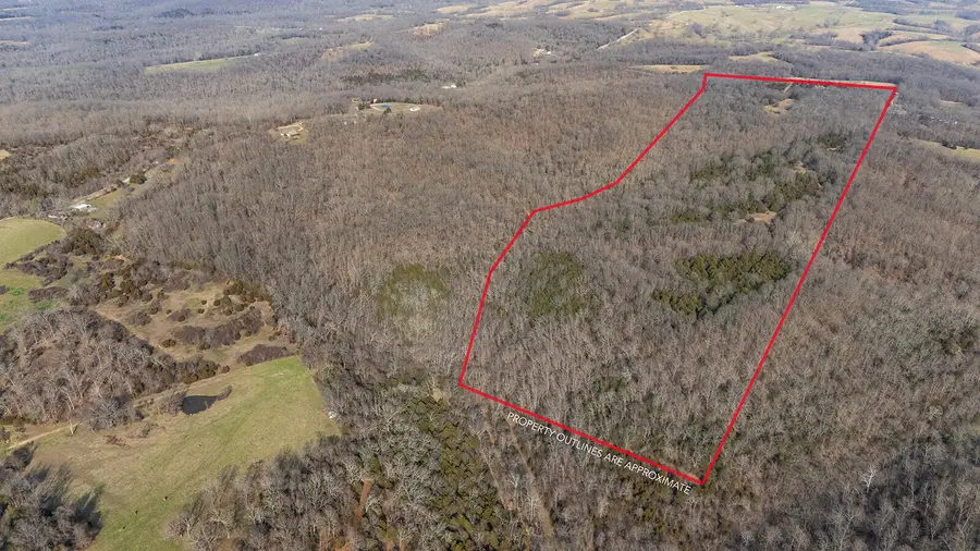 000 Abadyl Road, Fordland, MO 65652 - #3