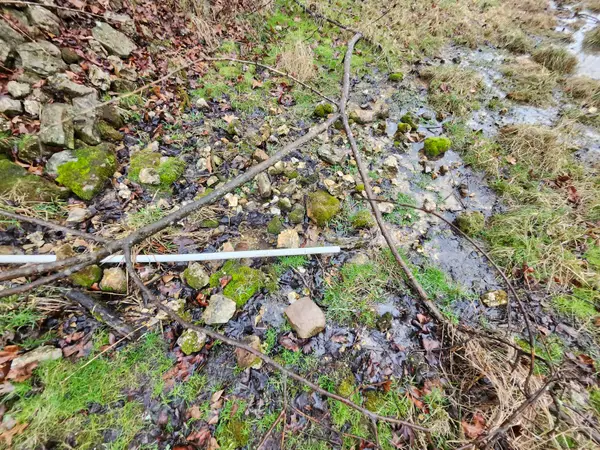 Tbd County Road 149, Mountain Grove, MO 65711