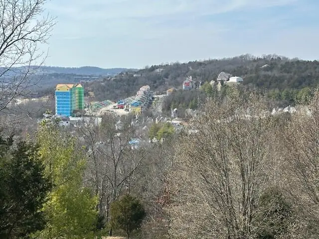 32 Canyon Parkway, Branson, MO 65616 - #3