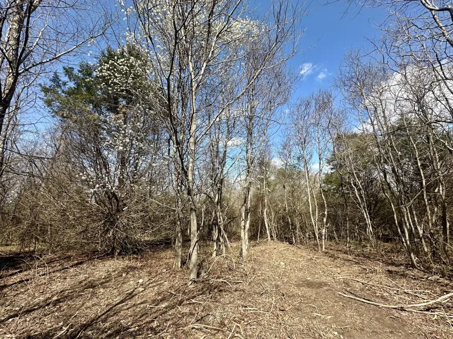 Lot 3 Mack Road, Nixa, MO 65714 - #3