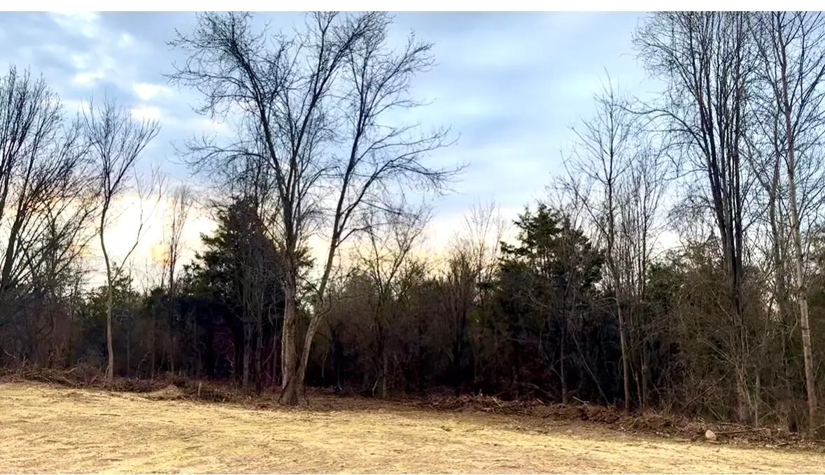 Lot 6 Mack Road, Nixa, MO 65714 - #1