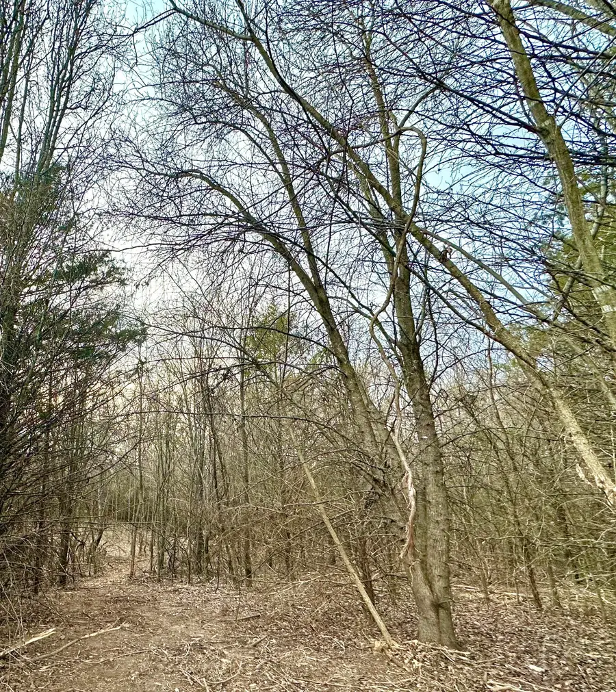 Lot 6 Mack Road, Nixa, MO 65714 - #3