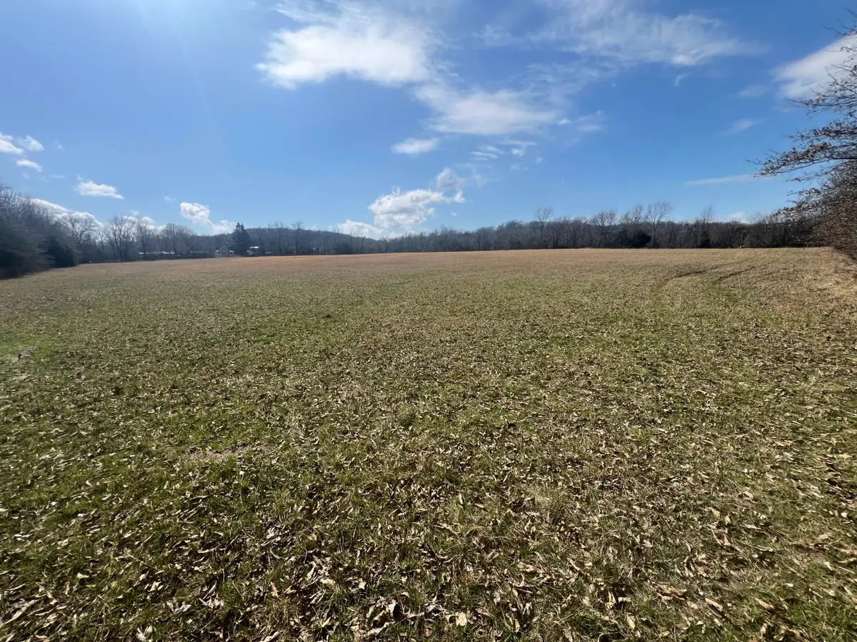 1203 S Farm Road 241, Rogersville, MO 65742 - #1