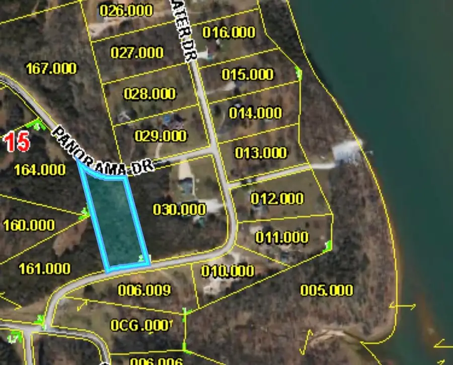 000 Panorama Drive #Lot 162, Cape Fair, MO 65624 - #2