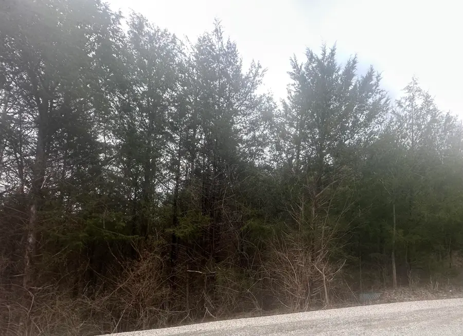 000 Panorama Drive #Lot 162, Cape Fair, MO 65624 - #3