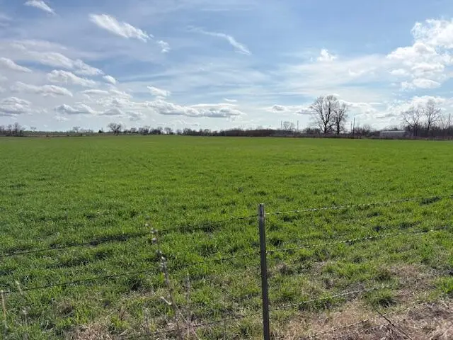 000 Lawrence 1220 Tract 7, Marionville, MO 65705 - #2