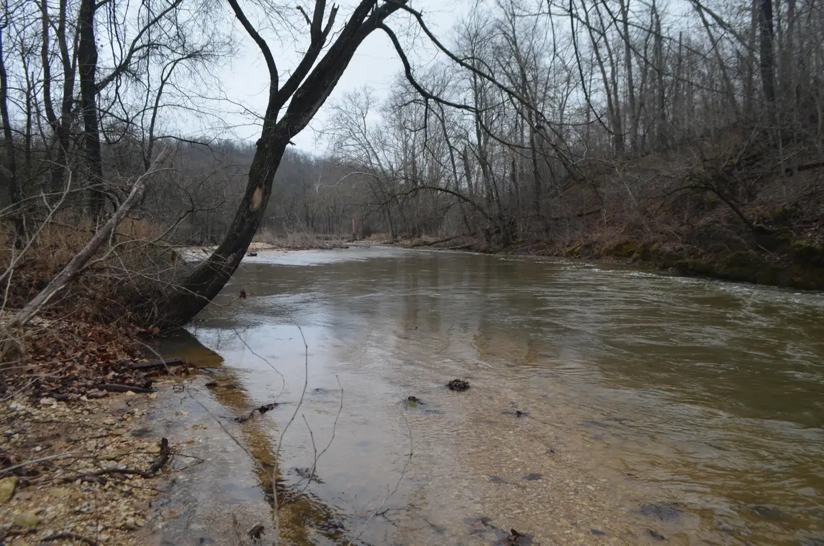 000 Co. Rd. E76-101, Ava, MO 65608 - #1