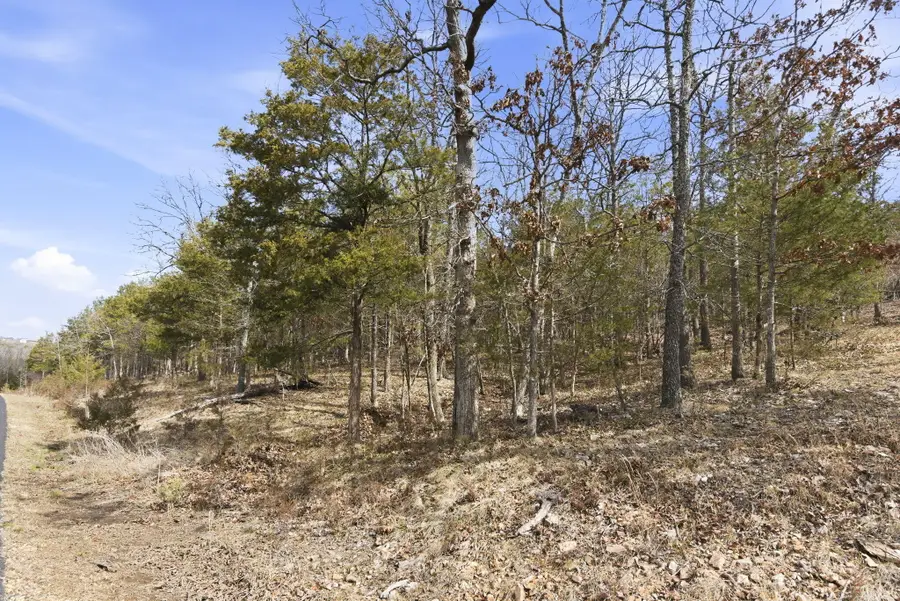 109 Appaloosa Trail, Saddlebrooke, MO 65630 - #3