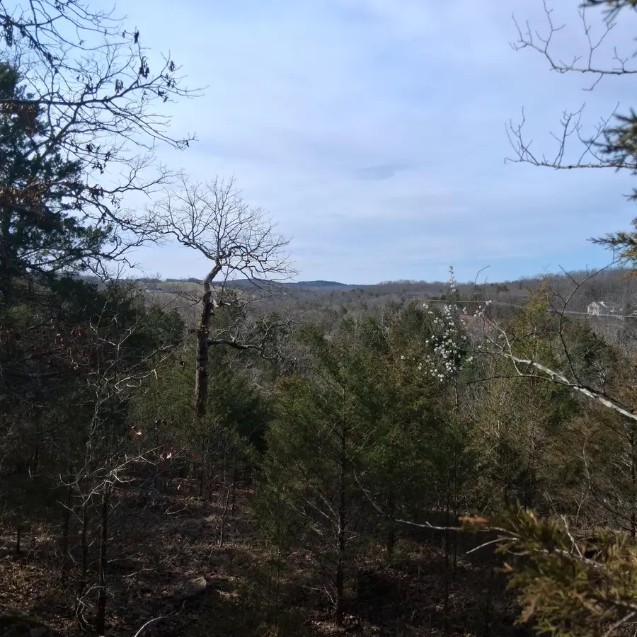 000 Greers Ferry Road, Branson, MO 65616 - #3