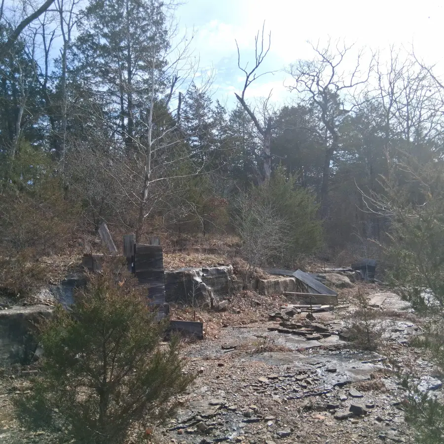 000 Greers Ferry Road, Branson, MO 65616 - #2