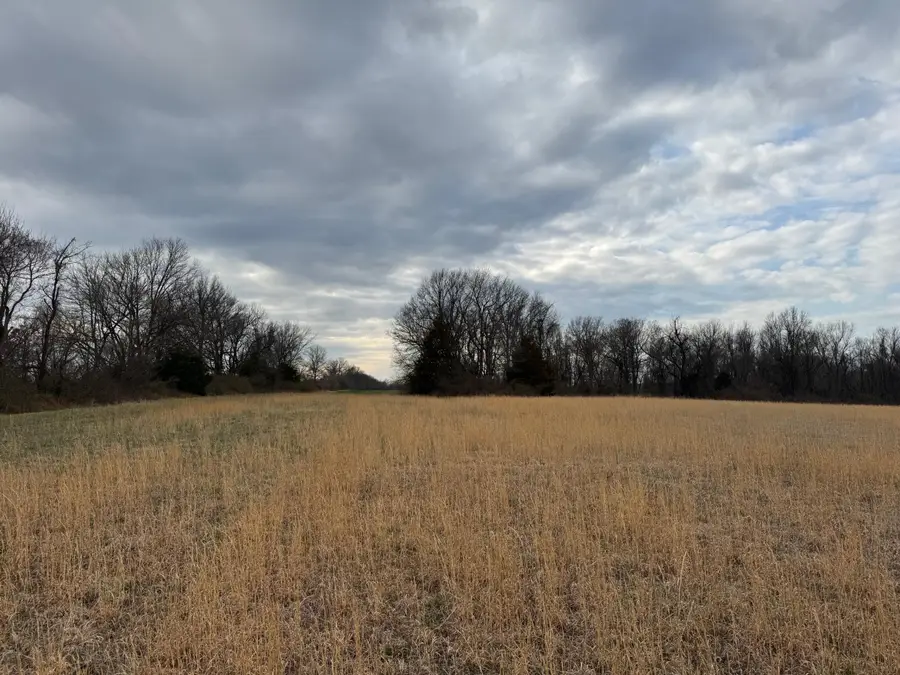 Tbd County Road 270, Asbury, MO 64832 - #3