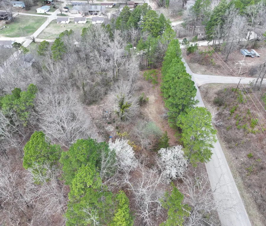 1500 Broadway Street, Van Buren, MO 63965 - #2