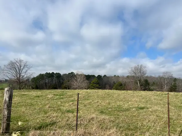 8103 County Road 455, Birch Tree, MO 65438