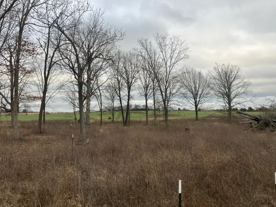 000 Timber View Drive, Seymour, MO 65746 - #3