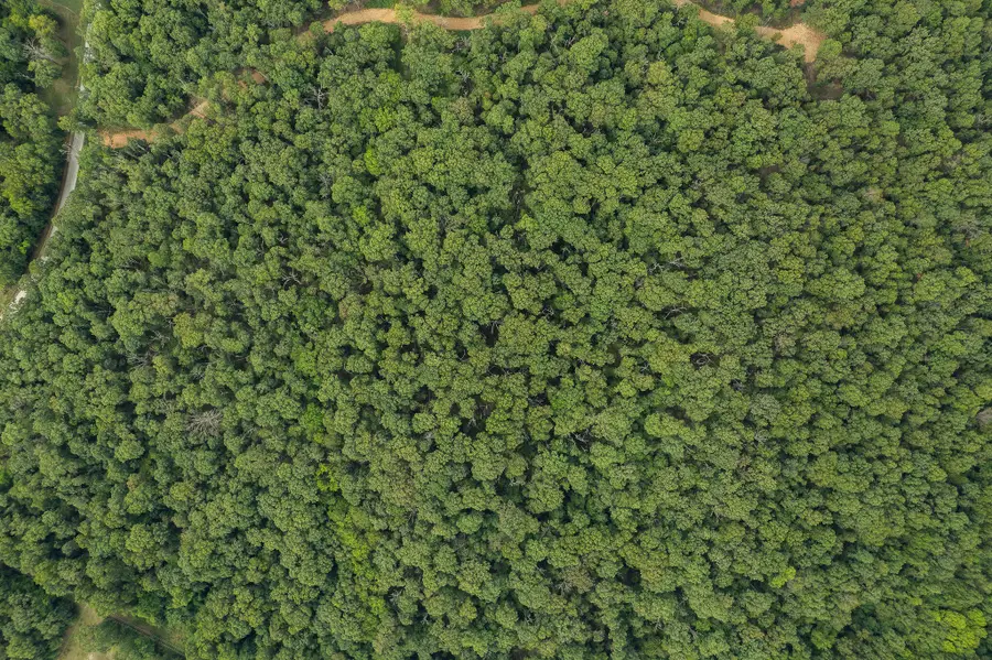 Lot 6 7  8 Mink Drive (25.54 Ac), Neosho, MO 64850 - #2