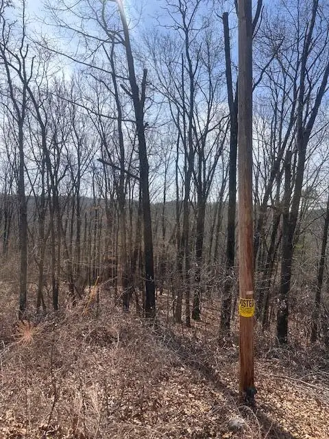 Tbd County Road 220, Eureka Springs, AR 72632 - #2