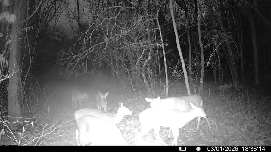 Address Withheld By Seller, Stockton, MO 65785 - #2