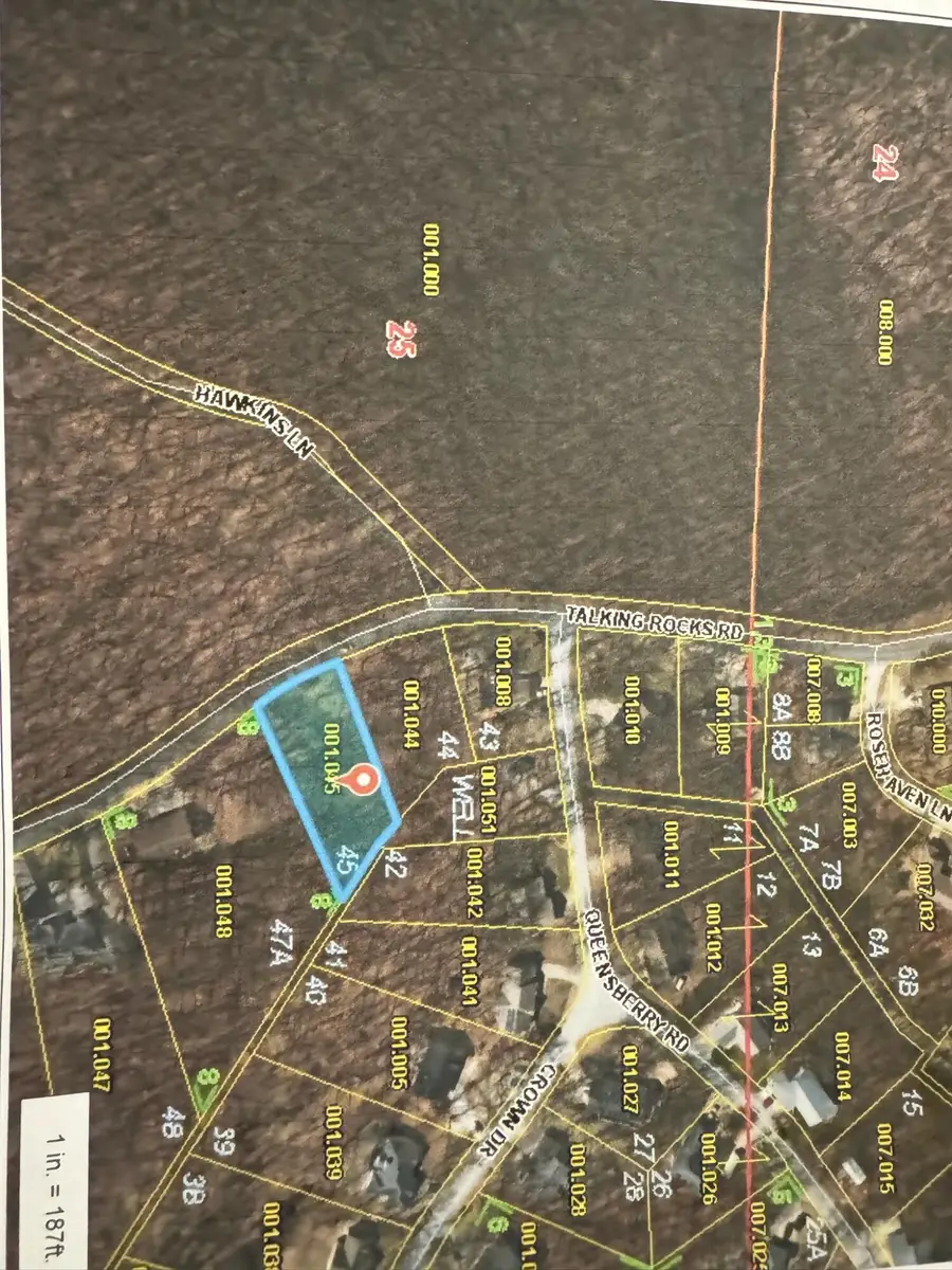1452 Talking Rocks Rd. (lot 45) Road, Branson West, MO 65737 - #2